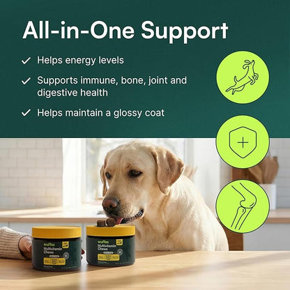 Wuffes 23-in-1 Dog Multivitamin Supplement for Hip & Joint, Skin & Coat and Immune System Support with Omega 3, Iron, Zinc, Vitamin C - Minerals & Vitamins for Senior Dogs and Puppies - 30 Soft Chews
