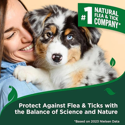 Vet’s Best Flea and Tick Home Spray – Plant-Based Flea and Tick Treatment for Dogs and Indoor Use – Natural Spray with Essential Oils for Flea Control in Home – 32 oz Bottles, 2 Pack