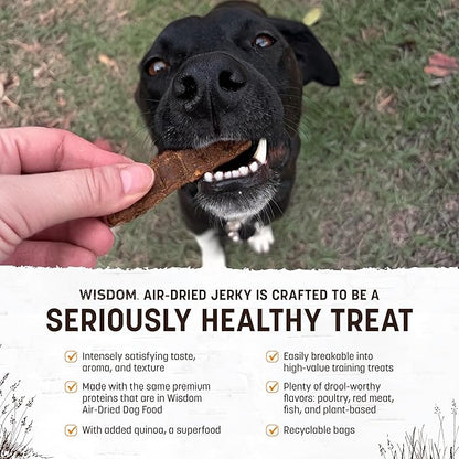 Earth Animal Wisdom Air Dried Jerky - Chicken Recipe Premium Natural Jerky Strips Dog Treats - 3 Pack 4 oz Bag
