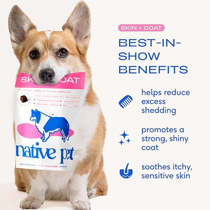 Native Pet Skin & Coat Chews - Omega 3 Fish Oil for Dogs Skin & Coat Supplement - Itch Relief, Shiny Fur & Shedding Support - Collagen, Hyaluronic Acid, Biotin, Probiotics & Salmon Oil - 60 Chews