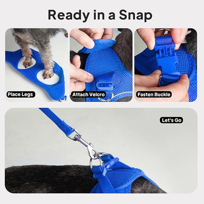 PetiFine Step in Small Dog Harness and Leash Set, Breathable All Weather Air Mesh Reflective Escape Proof, Step-in Vest Harnesses for Puppy(S, Baby Blue)