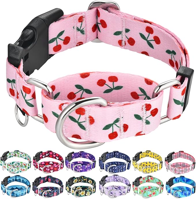 Martingale Dog Collar for Medium Dogs with Buckle No Pull Pink Girl Cute Dog Collars (Cherry, Medium)