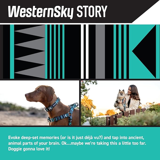 Wolfgang Heavy Duty Adjustable Dog Harness, Pull-Tested for Walking & Training, WesternSky Print, Small
