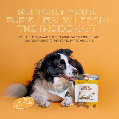 Smart Cookie All Natural Dog Treats - Rabbit & Pumpkin - Training Treats for Dogs with Allergies or Sensitive Stomachs - Soft Dog Treats, Grain Free, Chewy, Human-Grade, Made in USA - 5oz, Pack of 3