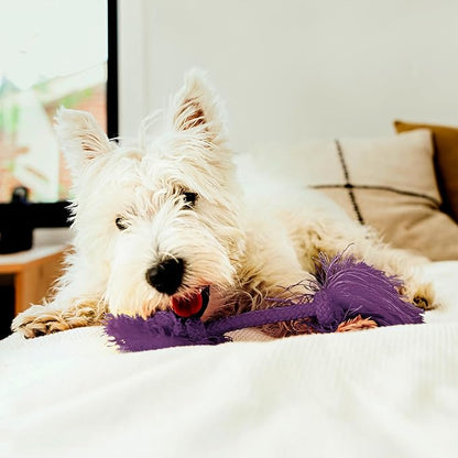 Playology Dog Toys | Dri-Tech Rope Toy Tug of War Rope for Aggressive Chewers (Value 2-Pack) | Small Bacon Scented Toys - Easy to Clean and Made from Non Toxic Materials