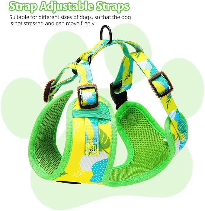 Small Dog Harness and Leash Set of 6, No Pull Soft Lightweight Mesh Puppy Harness， Adjustable Cute Floral Pattern Pet Harness for Small Medium Dogs (Green Leaf, M)