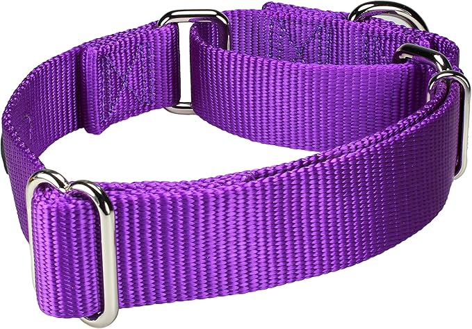 Mikivery Martingale Dog Collar Nylon Adjustable and Safety Training Colourful Comfortable Metal Buckle Pet Collars for Small Medium and Large Dogs(Purple 1,L)