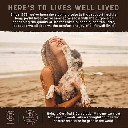Earth Animal Wisdom Air Dried Jerky - From the Sea Recipe Premium Natural Fish Jerky Strips Dog Treats - 4 oz Bag