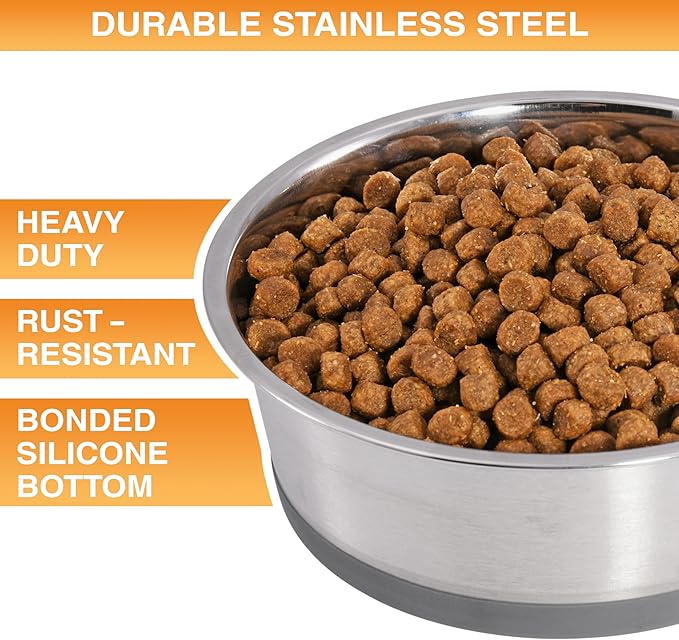 Neater Pet Brands Stainless Steel Dog Bowls with Non-Slip Rubber Bottom – 3 Cup (24 oz), Gray - Set of 2 Heavy Duty Metal Dog Bowls, Dishwasher Safe, Food or Water Bowl, Ideal for Small to Medium Dogs