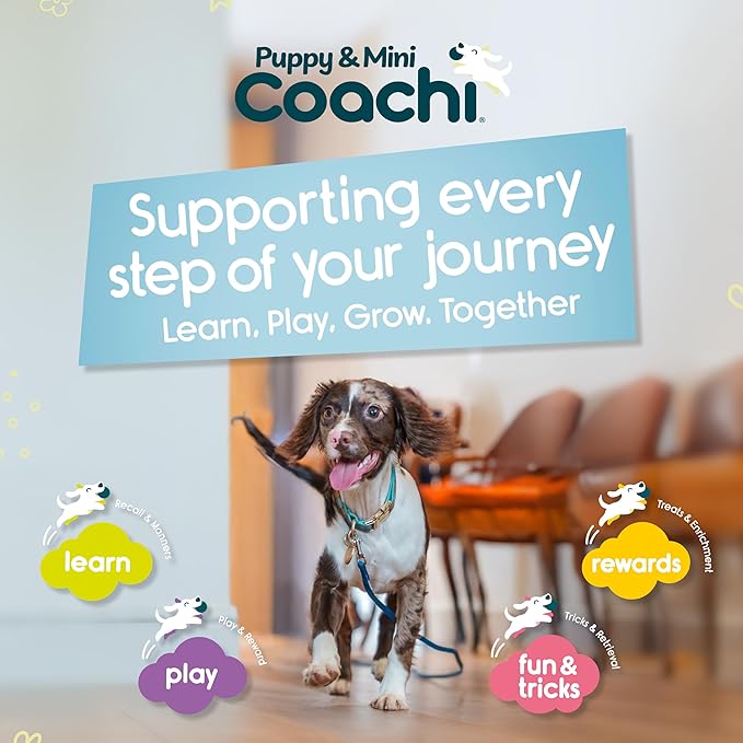 Coachi Puppy & Mini Waterproof Training Line 5m - Safe Outdoor Recall Training, Dog & Puppy Socialisation, Lightweight, Prevents Chasing. Suitable for Puppies and Small Dogs