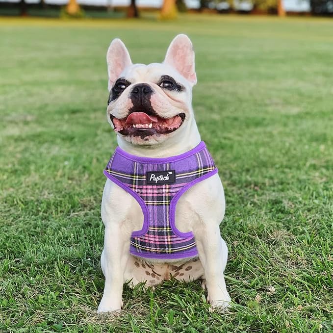 PUPTECK Soft Mesh Dog Harness and Leash Set Pet Puppy Cat Comfort Padded Vest No Pull Harnesses, Purple, S