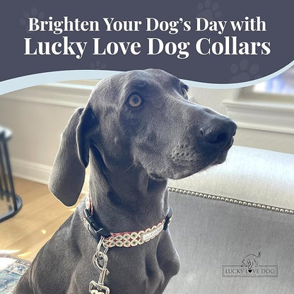 Lucky Love Dog - Easy Click Buckle Dog Collar with Leash Set Combo, Durable & Comfortable for Male & Female Dogs, Pet Collar for Small Dogs, Secure Fit - Pongo Combo, Small