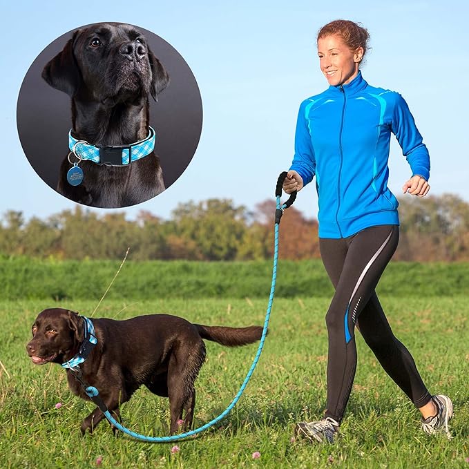 Ladoogo Reflective Dog Collar Padded with Soft Neoprene Breathable Adjustable Nylon Dog Collars for Small Medium Large Dogs (X-Small (Pack of 1), Vivid Blue Plaid Collar+Leash)