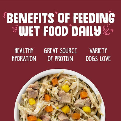 Weruva Classic Dog Food, Peking Ducken with Chicken & Duck in Gravy, 5.5oz Can (Pack of 24), Multi