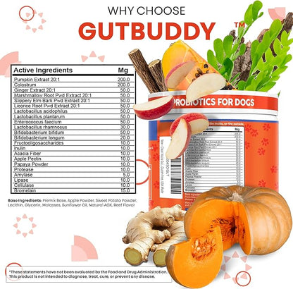 Gut Health Probiotics for Dogs + Pumpkin Colostrum Digestive Enzymes Ginger Slippery Elm Licorice Inulin Fiber Soft Chews Dog Probiotic Beef Flavor Digestion Supplement Treat Bites Large & Small Pets