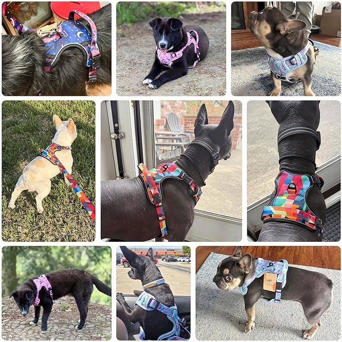 BEAUTYZOO No Pull Dog Harness, Adjustable Dog Harness and Leash Set -Easy Wearing with 3 Buckles/Control Handle,No Choke Soft Padded Reflective Pet Vest for Training Walking Hiking,Solid Aqua Blue S