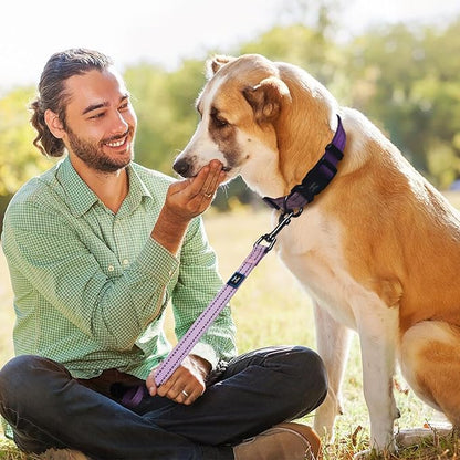 Roses&Poetry Lightpurple Large Dog Collar and Leash Set, Puppy Reflective Leashes with Collars, Adjustable Durable Matching Collar Leash for Large Dogs Girl (Lightpurple-L)