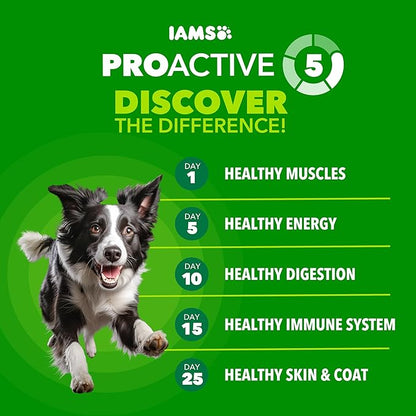 IAMS Proactive Health Dry Dog Food, Adult Dog Food Dry Recipe, Beef & Rice Recipe, 15 lb. Bag