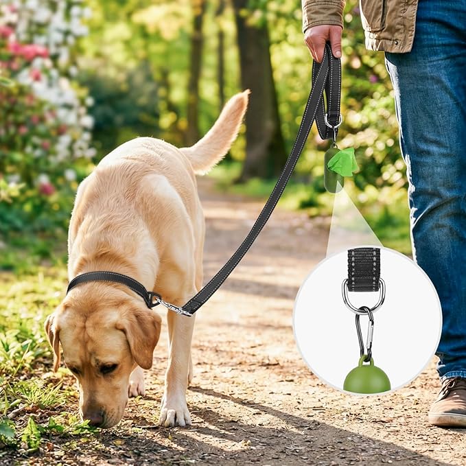 Joytale Dog Leash, 5 FT Double-Sided Reflective, Padded Handle Nylon Heavy Duty Leashes for Medium & Large Dogs Walking, Black