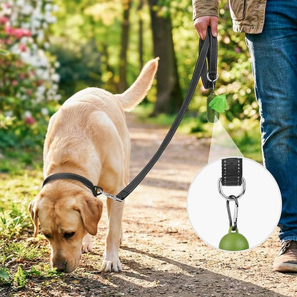 Joytale Dog Leash, 6 FT Double-Sided Reflective, Padded Handle Nylon Heavy Duty Leashes for Small Dogs Walking, Black
