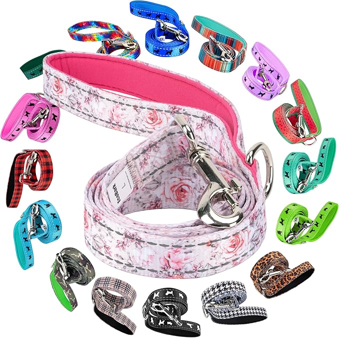 EcoBark Dog Leash - Soft & Reflective Comfort Leash with Padded Handle - Safe, Strong, & Durable for Small, Medium or Large Dogs (Floral)