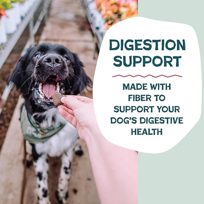 Shameless Pets Soft-Baked Dog Treats, Duck Duck Beet - Natural & Healthy Dog Chews for Digestive Support with Fiber - Dog Biscuits Baked & Made in USA, Free from Grain, Corn & Soy - 1-Pack