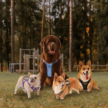 AUNZO No-Pull Dog Harness for XS Dogs, Anti-Escape Easy Walking Reflective Adjustable Lightweight Dog Vest with Breathable Oxford Material, Easy On/Off with Neck Buckle, Blue XS