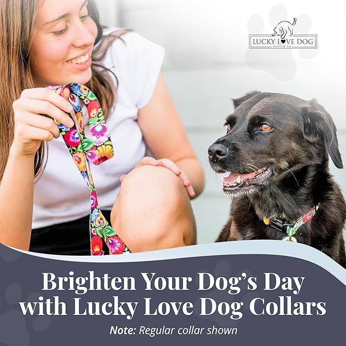 Lucky Love Dog Martingale Dog Collar - Adjustable, No-Slip, Durable, & Soft Webbing Collar for Male and Female Dogs Ideal for Training & Walking - Blackbird, Small