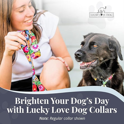 Lucky Love Dog Martingale Dog Collar - Adjustable, No-Slip, Durable, & Soft Webbing Collar for Male and Female Dogs Ideal for Training & Walking - Blackbird, Small