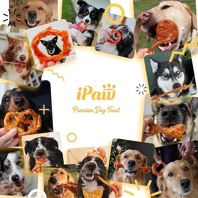 iPaw Turkey Tendon for Dogs, Single Protein, Hypoallergenic, All Natural Human Grade Puppy Chew, Rawhide Alternative Dog Treats, 1 Pc/Pack Bone (Large)