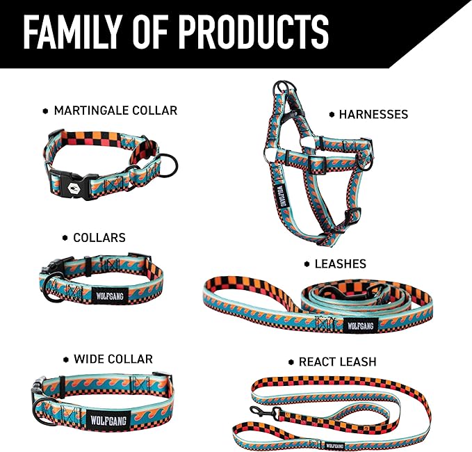 Wolfgang Heavy Duty Dog Leash, Pull-Tested for Walking & Training, Buenaonda, Small