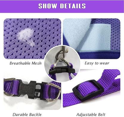 FEimaX Dog Harness and Leash Set, No-Pull Breathable Soft Mesh Puppy Vest Harness Reflective Adjustable Pet Harnesses for Small Medium Dogs and Cats - Outdoor Easy Control for Walking (M, Purple)