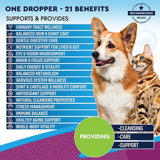 Cat & Dog Multivitamin Liquid with Glucosamine & Cranberry | 21 in 1 Health Supplements for Urinary Tract Kidney, Bladder, Hip & Joint, Skin & Coat | Natural UTI Medicine Made in USA (60 ml)