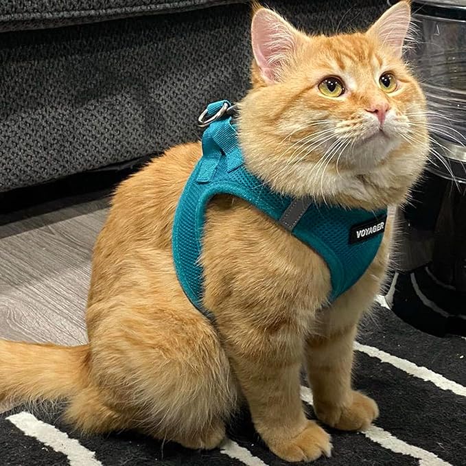 Best Pet Supplies Voyager Step-in Air Harness - All Weather Mesh, Reflective, No Pull Harness for Dogs, Cats - Secure with Hook & Loop Fastener, Buckle, Double D-Rings - Turquoise, XXS