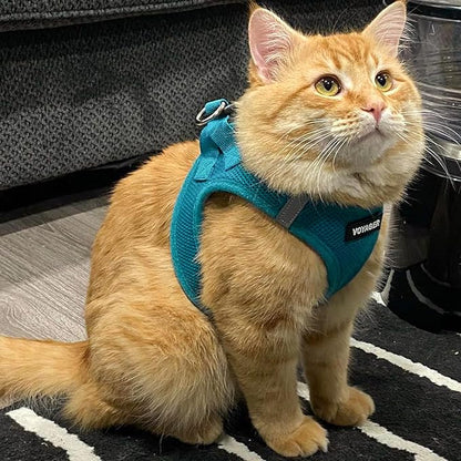 Best Pet Supplies Voyager Step-in Air Harness - All Weather Mesh, Reflective, No Pull Harness for Dogs, Cats - Secure with Hook & Loop Fastener, Buckle, Double D-Rings - Turquoise, S