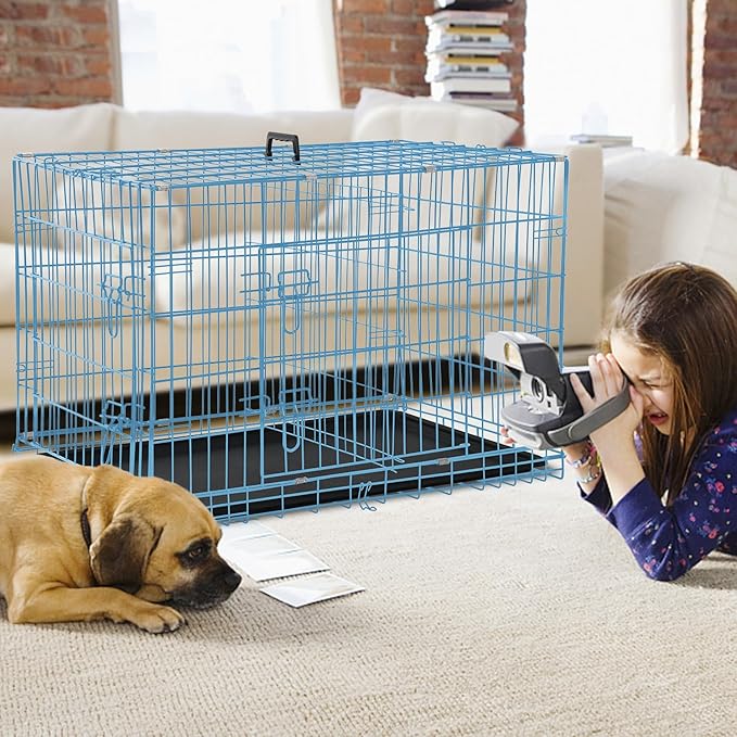 Dog Crate Dog Kennel Cage 42” Portable Foldable Indoor Outdoor Large Double Door Wire Metal Puppy Cat Pet Dog Cage with ABS Tray LC & Divider, Blue