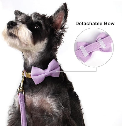 Beirui Adorable Small Dog Harness Collar Leash Set,Cute Puppy Harness with 3 Bows for XS Dogs,Yorkie,Adjustable Step-in Vest for Walking,Parties&Holiday Outfits(Purple,XS)