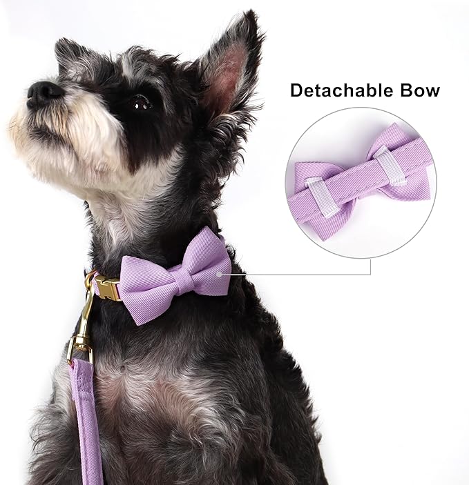 Beirui Adorable Small Dog Harness Collar and Leash Set,Cute Puppy Harness Set with 3 Bows for Small Dogs,Shih Tzu,Dachshund,Adjustable Step-in Vest for Daily Walking,Parties&Holiday Outfits(Purple,S)