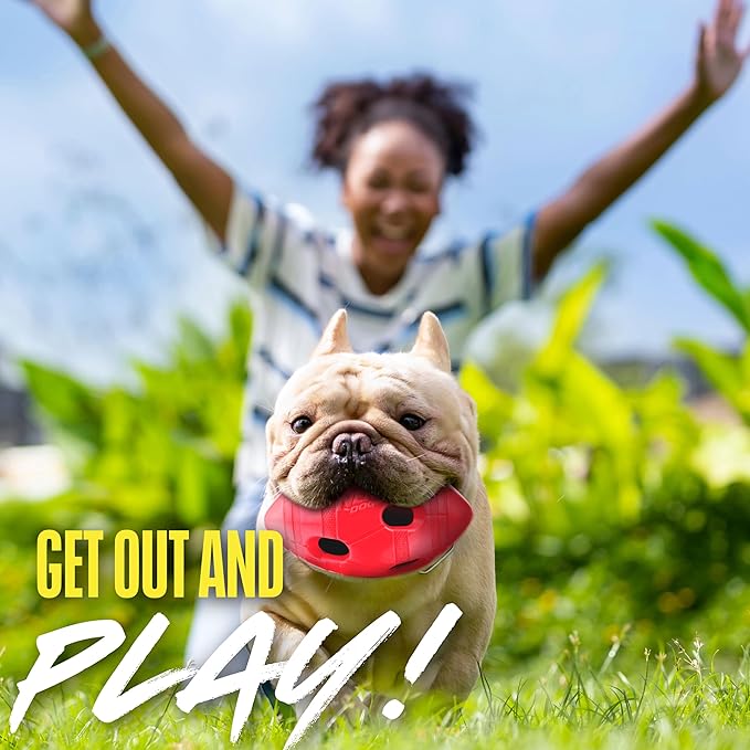Nerf Dog Rubber Football Dog Toy with Interactive Squeaker and Crunch, Lightweight, Durable and Water Resistant, 6 Inch Diameter for Medium/Large Breeds, Single Unit, Red