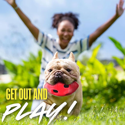 Nerf Dog Rubber Football Dog Toy with Interactive Squeaker and Crunch, Lightweight, Durable and Water Resistant, 6 Inch Diameter for Medium/Large Breeds, Single Unit, Red