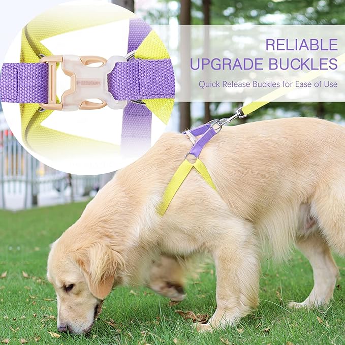 No Pull Dog Harness and Leash Set, Dog Collar, Step in Dog Halter Harness with Poop Bag Holder, Adjustable Lightweight Cotton Straps Suitable for Small Medium Large Dogs Outdoor Walking Running Hiking