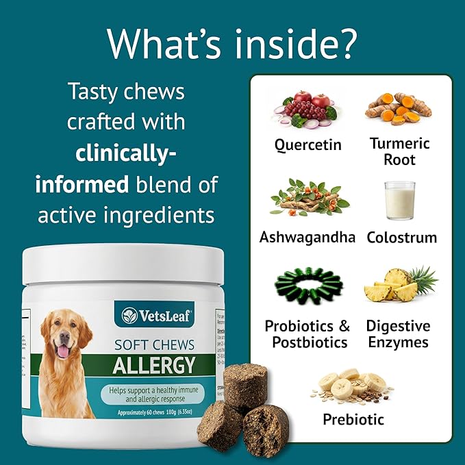 Allergy Relief Dog Chews – Quercetin, Turmeric, Ashwagandha, Probiotics & Colostrum – Seasonal Allergy, Immune & Digestive Support – for Itchy Skin & Hot Spots – All Breeds & Sizes