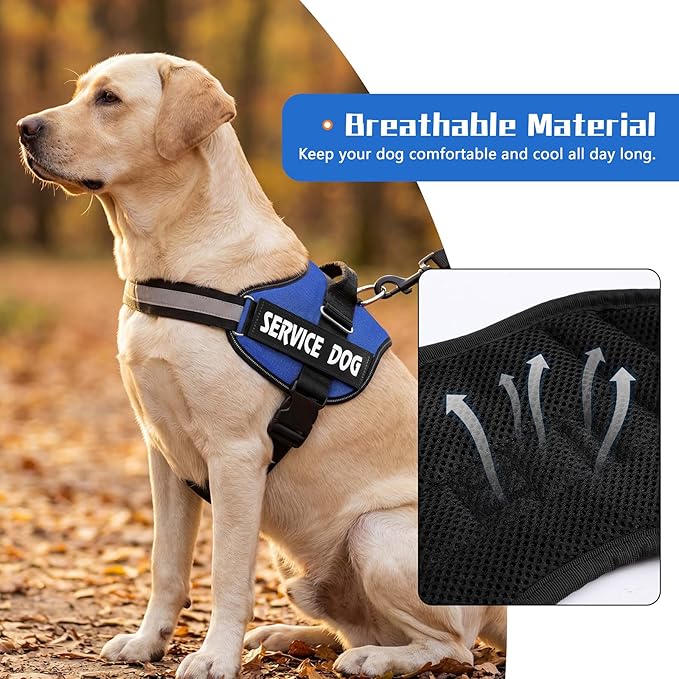 MUMUPET Service Dog Harness, No Pull Reflective Adjustable with Handle, Soft Breathable Padding for Small Dogs, 2 Removable Velcro Patches (Blue, S)