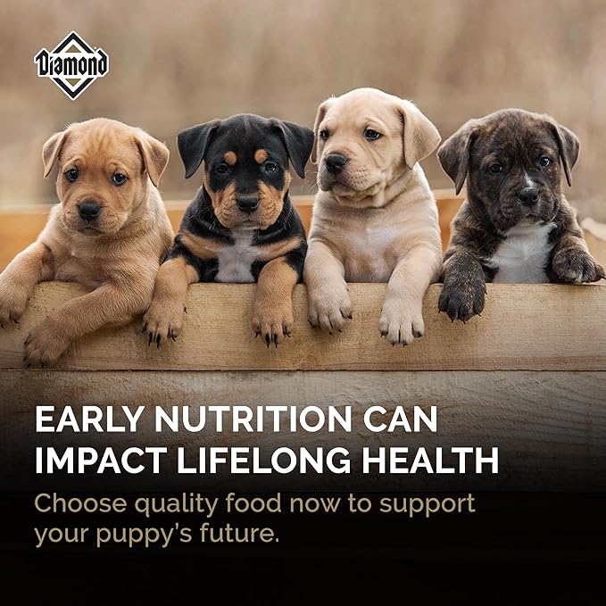 Diamond Puppy Dry Dog Food 31/20 for All Life Stages Including Puppies and Pregnant and Nursing Adult Dogs 20lb Bag