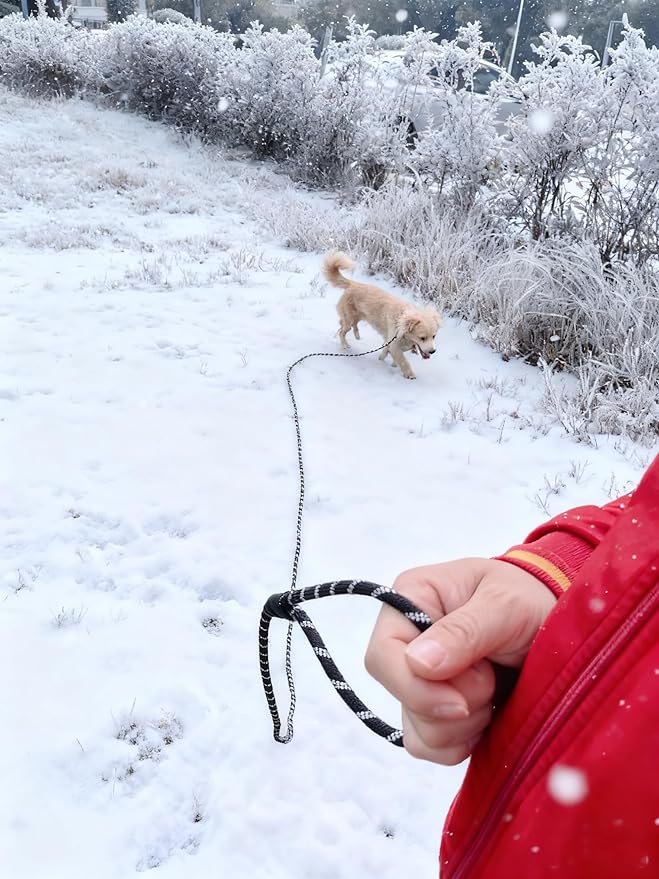 Reflective Long Slip Lead Dog Leash Anti-Choking 12 FT/20 FT/30 FT/50 FT Rope Training Leash for Medium Dogs Small Puppy Pets (12ft, red)
