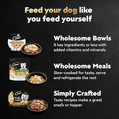 Cesar Wholesome Bowls Adult Wet Dog Food, Chicken, Sweet Potato & Green Beans Recipe, Wet Food for Dogs, 3 Oz. Bowls, 10 Count