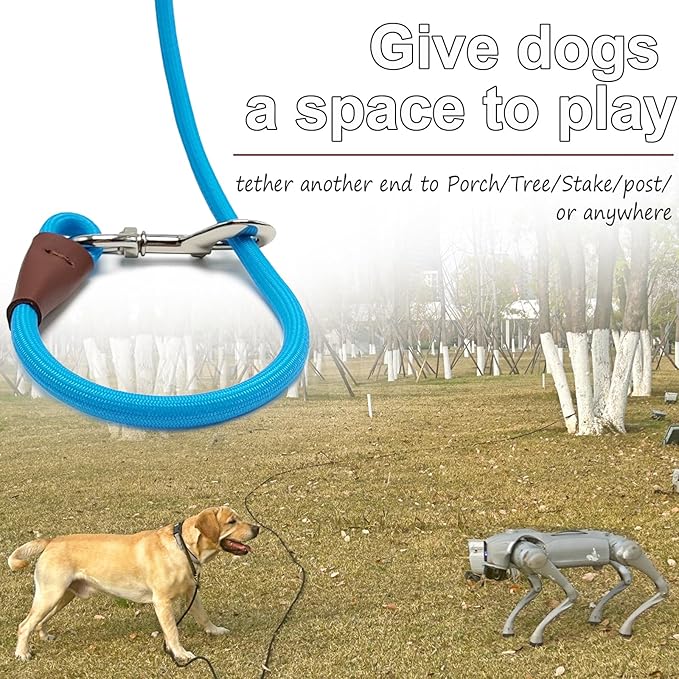 20FT Dog Tie Out Leash, Long Tether 10ft 15ft 20ft 30ft Nylon Rope Check Cord for Medium Large Dogs Indoor/Outdoor Playing Camping Backyard (Blue, 3/8")