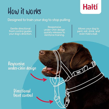 Halti Headcollar Size 3, Black & Halti Training Leash Size Large, Black Combination Pack - Stop Your Dog Pulling on the Leash. Adjustable, Lightweight with Padded Nose Band. Suitable for Medium Dogs