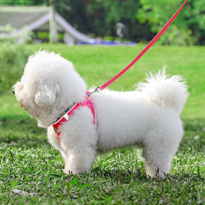 Hipubby Dog Harness Small Sized and Leash Set, No Pull Soft Mesh Puppy Vest, Reflective Breathable Lightweight Pet Harness, Harness for Small Medium Dogs and Cats - Rose Red/Khaki Trim, XS