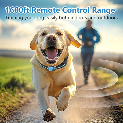 Dog Training Collar for 2 Dogs, Waterproof Dog Training Collar with Remote, 3 Training Modes, Rechargeable Electric Training Collar for Large Medium Small Dogs